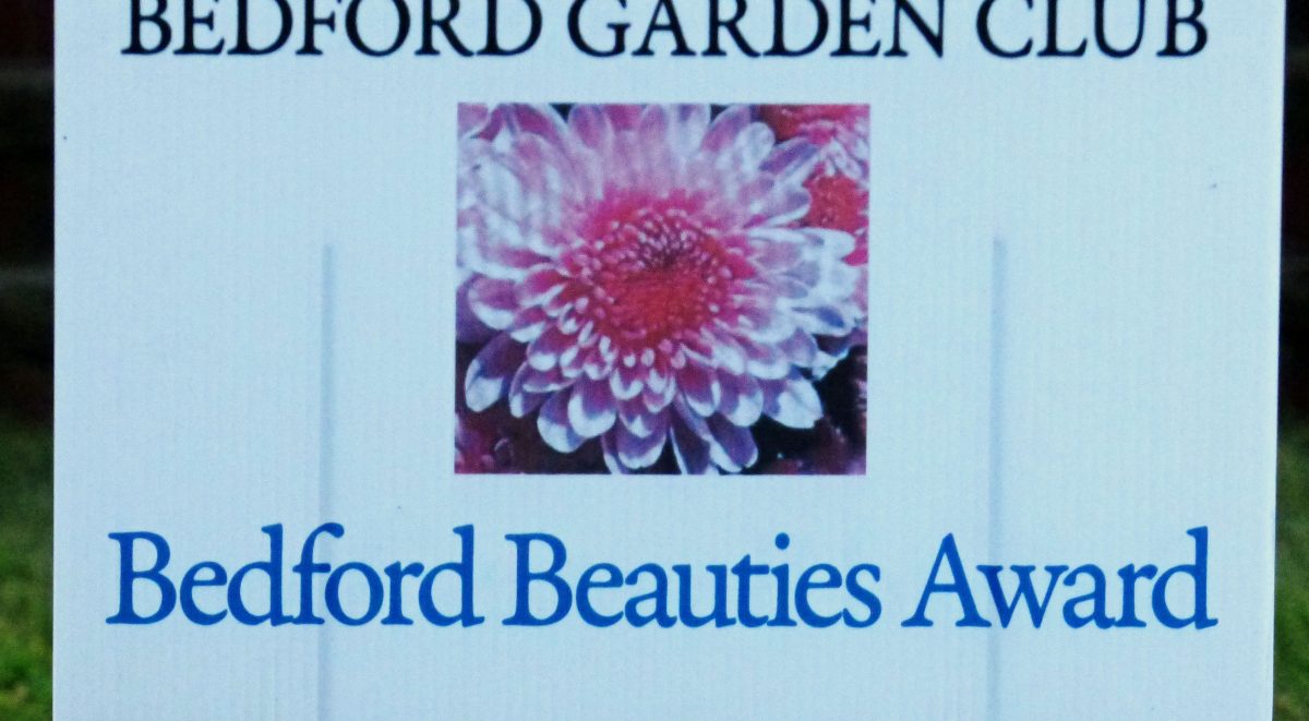 Bedford Beauties Contest