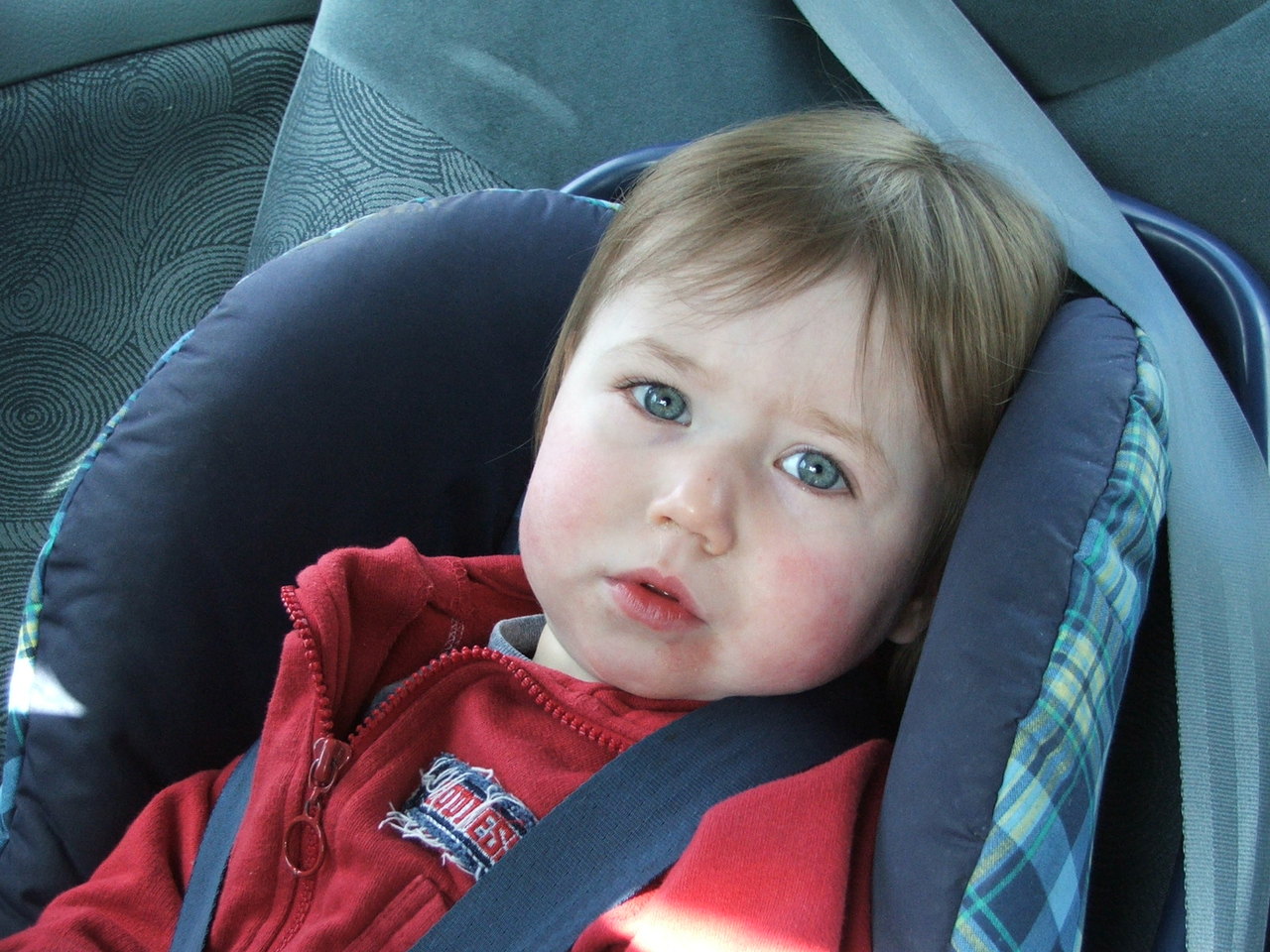Time to check if your child safety seat is properly installed and used