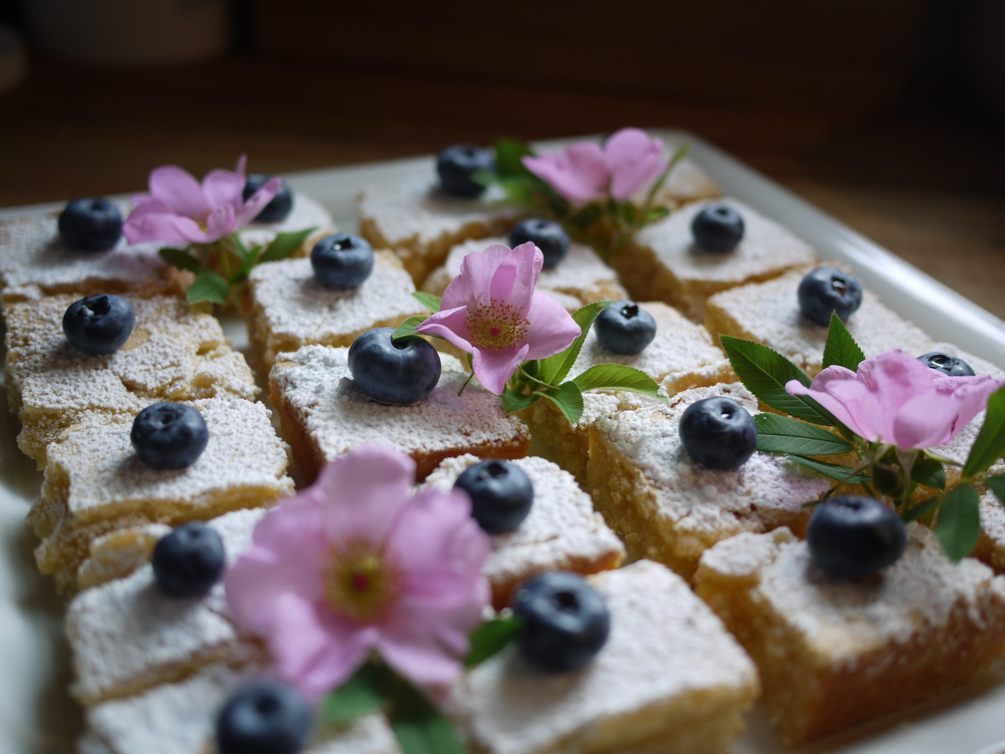 Sweet Summer Bliss: Blueberry Lemon Bars – A Baking Delight for July