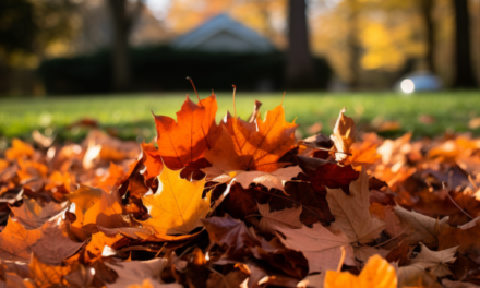 Embrace Autumn in Bedford: Essential Fall Guidelines