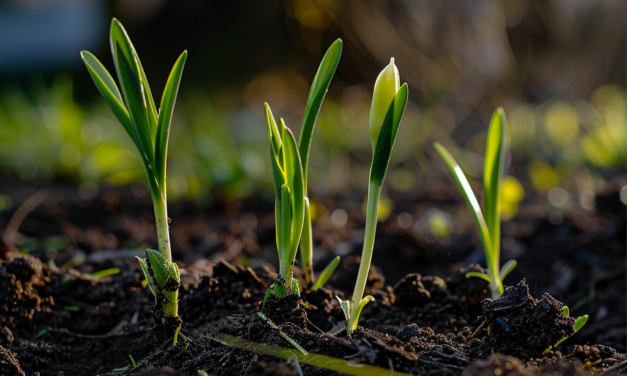 March Gardening Momentum: Preparing for Spring in Bedford