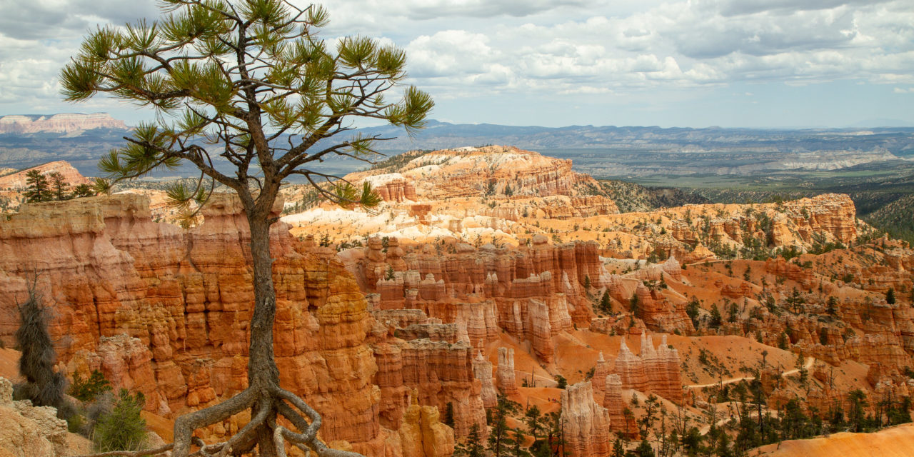 Embracing Nature’s Majesty: A Childhood Adventure in Bryce Canyon National Park