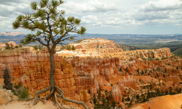 Embracing Nature’s Majesty: A Childhood Adventure in Bryce Canyon National Park