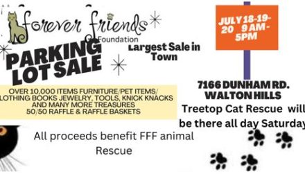 Three-Day Parking Lot Sale Benefiting Forever Friends Foundation: July 18-20!