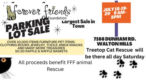 Three-Day Parking Lot Sale Benefiting Forever Friends Foundation: July 18-20!