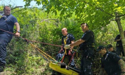 Firefighters Rescue Man from Ravine in Viaduct Park — As Reported by News 5