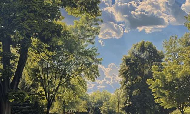 Surviving Summer: Health Tips for Bedford Residents This July