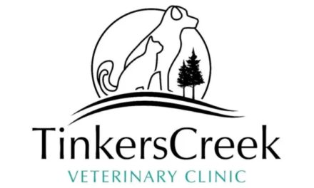 Tinkers Creek Veterinary Clinic: A New Beginning with Dr. Lydia Rust