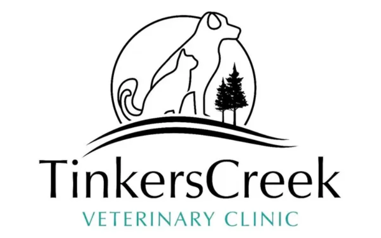 Tinkers Creek Veterinary Clinic: A New Beginning with Dr. Lydia Rust