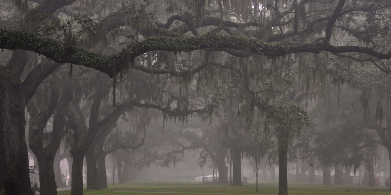 Thanksgiving in Savannah: A Heartfelt Celebration