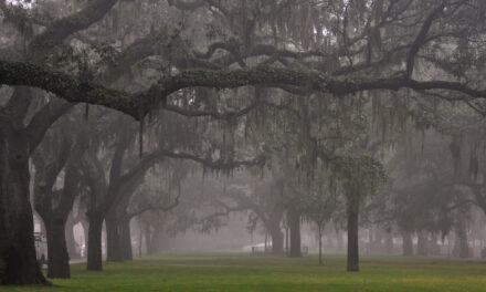 Thanksgiving in Savannah: A Heartfelt Celebration