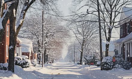 Winter Tips for Bedford Residents