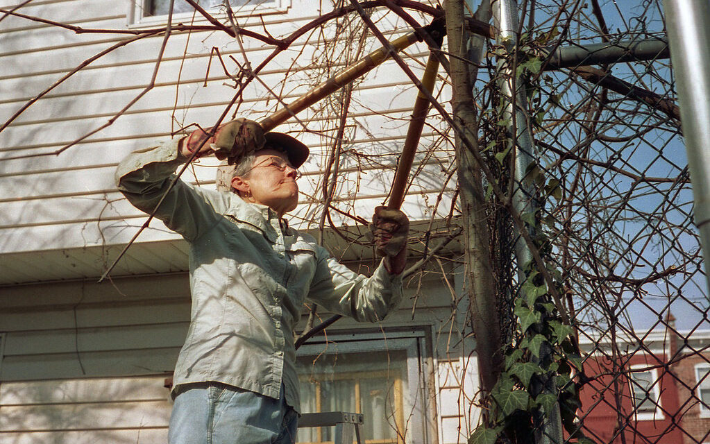 March Gardening Prep: Kickstarting Your Spring Garden in Bedford