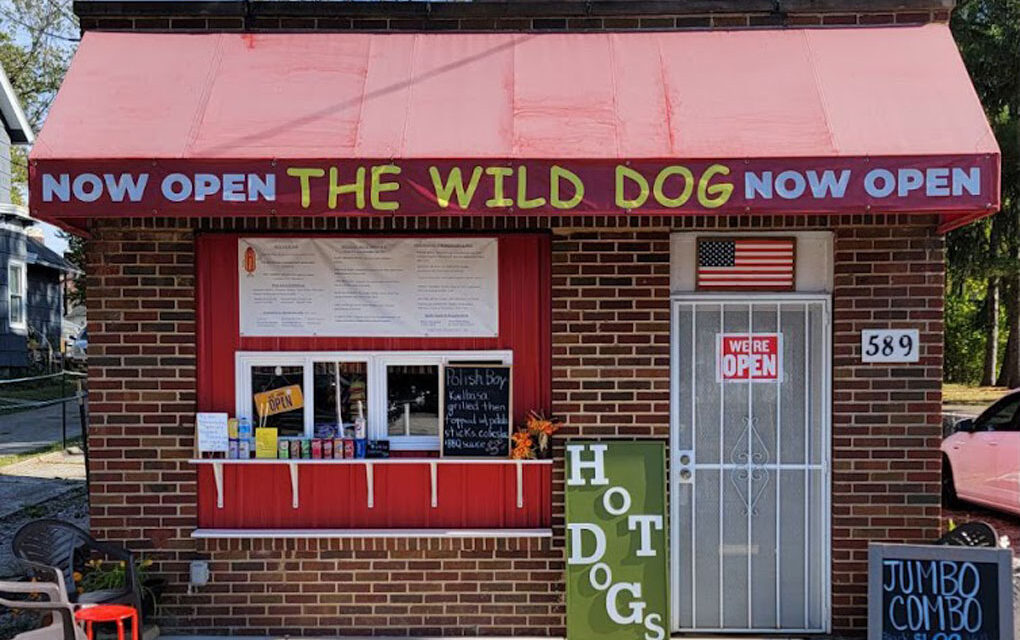 The Wild Dog: A Fresh Start for a Bedford Favorite