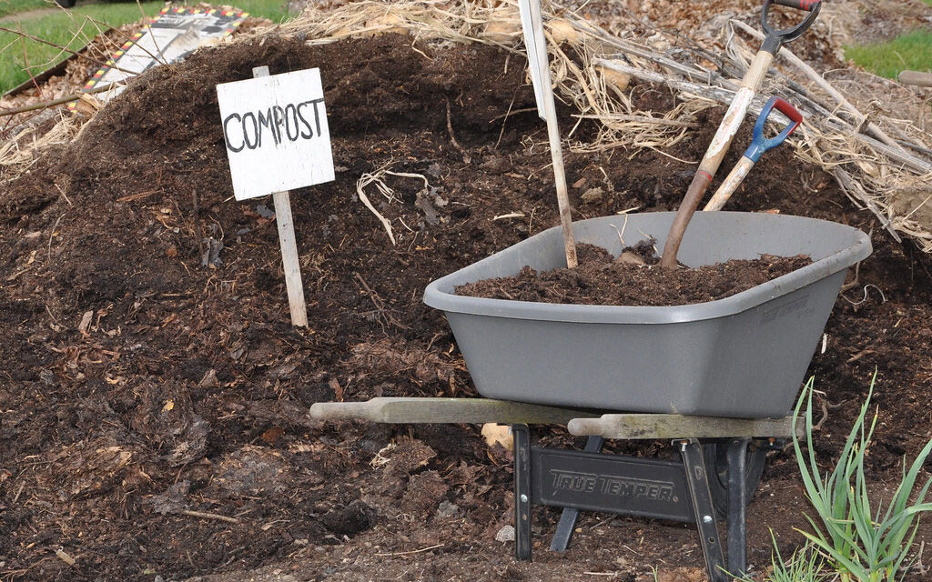 Sustainable Gardening in May: Eco-Friendly Projects for Bedford Gardeners
