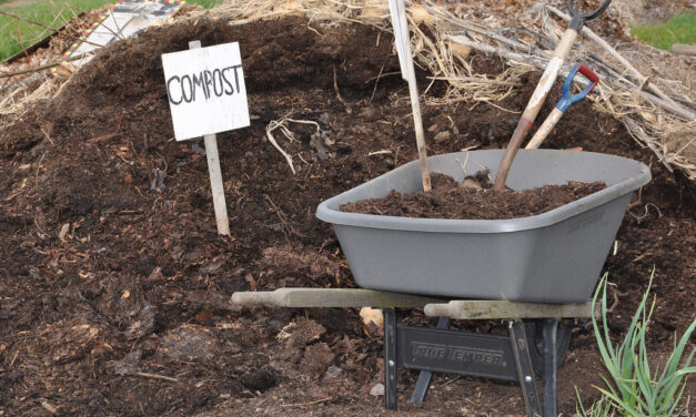 Sustainable Gardening in May: Eco-Friendly Projects for Bedford Gardeners