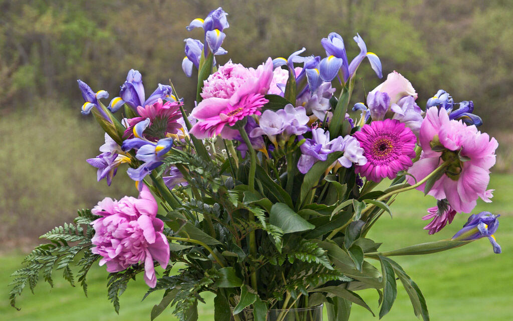 Blooms or Blunders: Spotting and Avoiding Mother’s Day Shopping Scams
