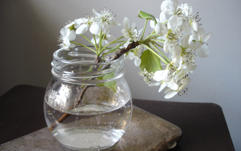 Creative Ideas for Reusing Items Around the House This May in Bedford