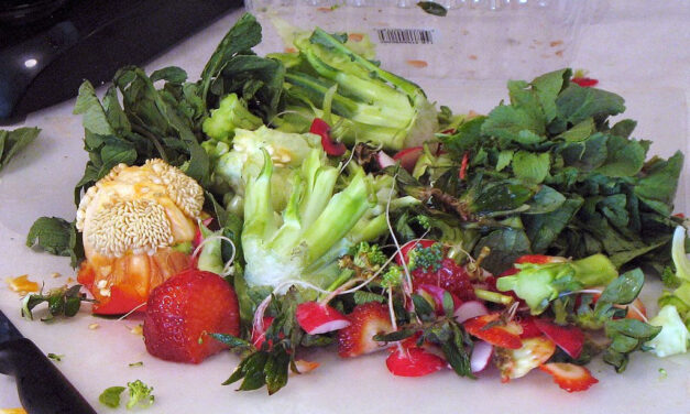 Zero-Waste Cooking: Sustainable Techniques for a Greener Kitchen