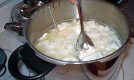 Denaturation: The Science Behind Transforming Proteins in Cooking