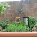 June Gardening in Bedford: Infusing Cultural Flair into Your Garden Projects