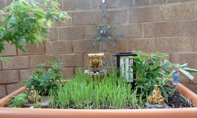June Gardening in Bedford: Infusing Cultural Flair into Your Garden Projects