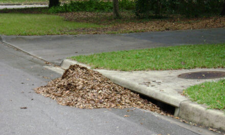 Only Rain in the Drain: Help Keep Bedford’s Waterways Clean