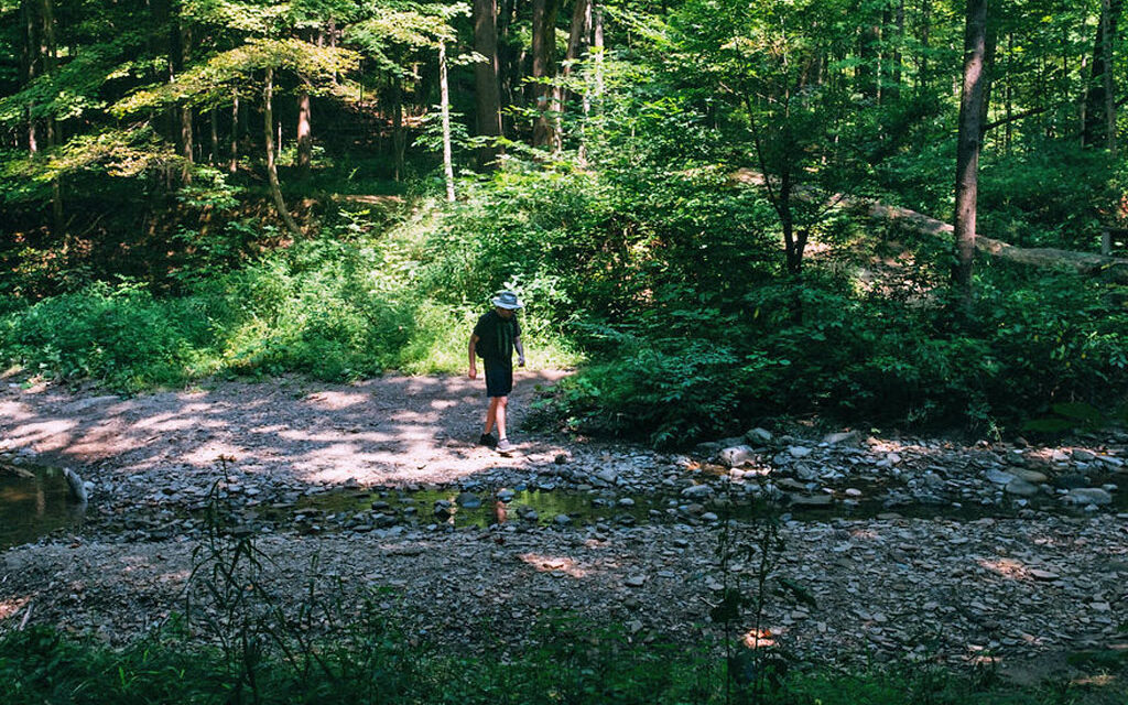 Stay Cool and Refreshed: Outdoor Adventures in Bedford This July