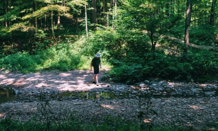 Stay Cool and Refreshed: Outdoor Adventures in Bedford This July