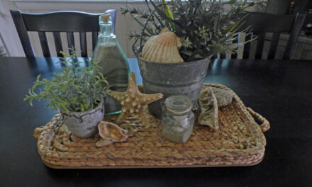 Create a Fun Summer Retreat with Travel Finds for Your Bedford Home