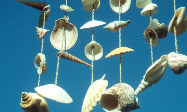 Summer Sounds: Crafting Wind Chimes from Nature’s Treasures