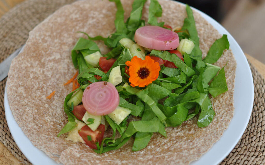 No-Cook Cooking: Quick and Refreshing Techniques for Easy Meals