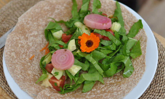 No-Cook Cooking: Quick and Refreshing Techniques for Easy Meals