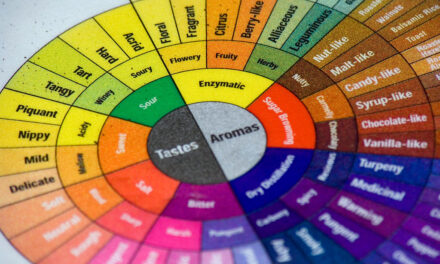 Flavor Mapping: Unlocking the Science of Taste Combinations