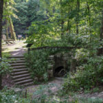 Late April in Bedford: Try a Creekside Nature Hunt