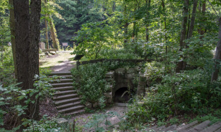 Push Past Your Comfort Zone with an Unpredictable Route Challenge in Bedford