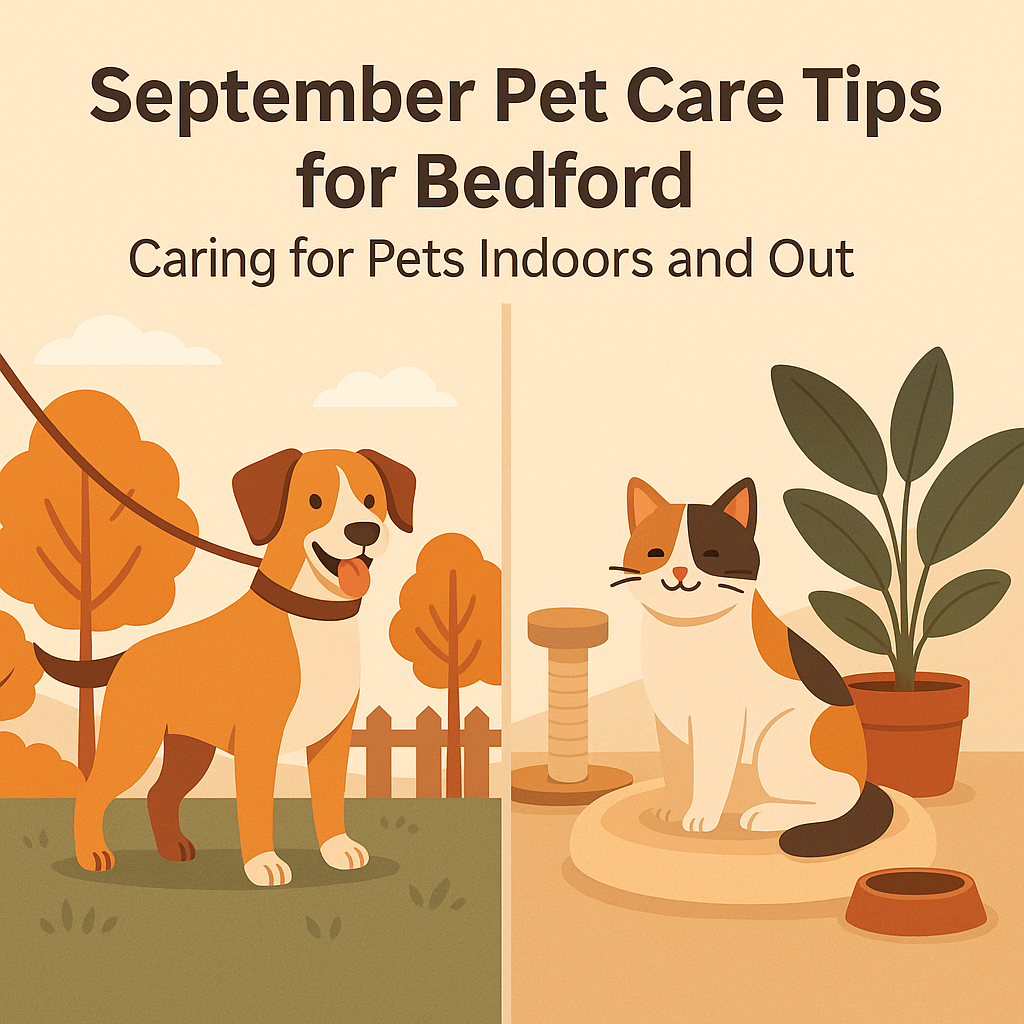September Pet Care Tips for Bedford: Caring for Pets Indoors and Out