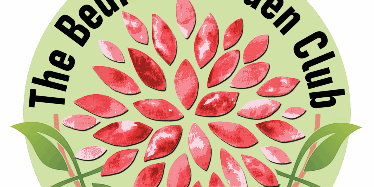Bedford Garden Club Announces 2025 “Bedford Beauties” Honorees