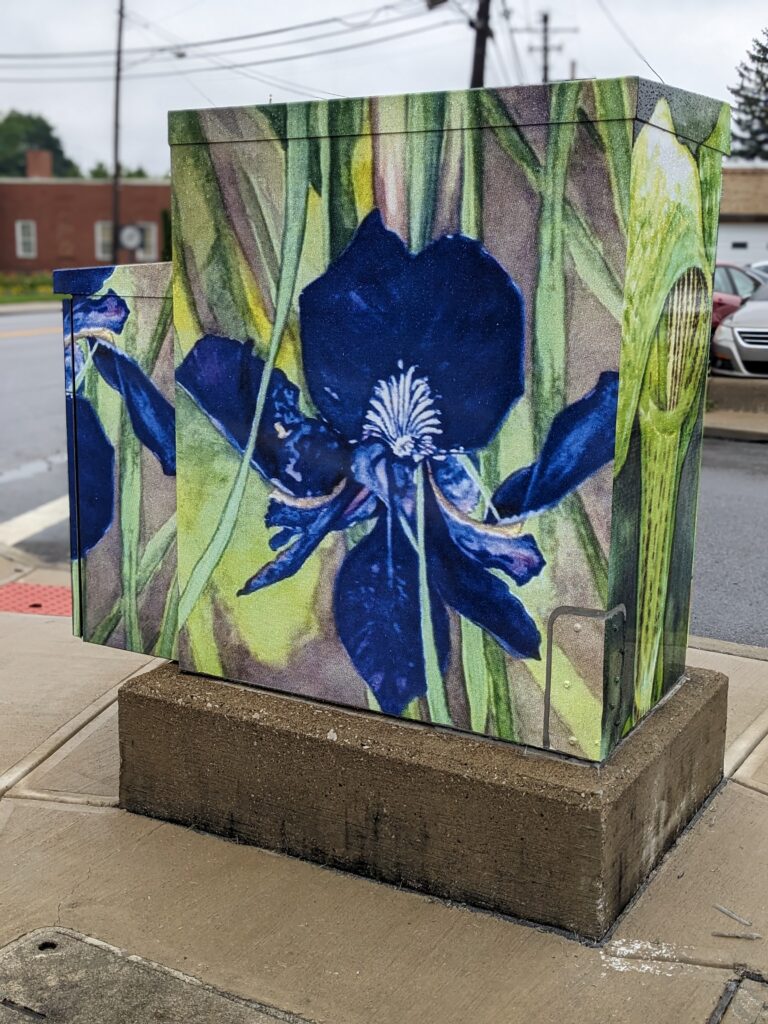 Electrical box wrap at Five Points (Broadway, Center, Columbus)