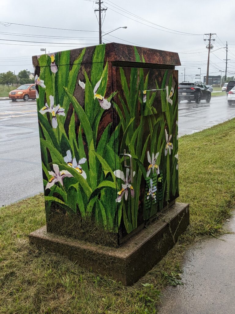 Electrical box wrap at Rockside across from Zak’s Supercenter