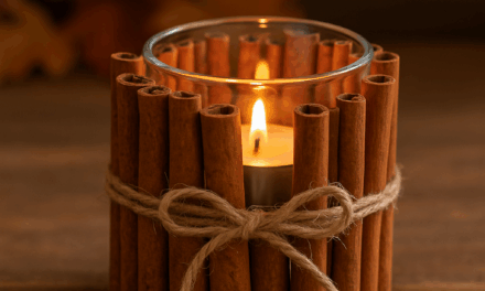 DIY Cinnamon Stick Candle Holders: A Warm October Craft for Your Bedford Home