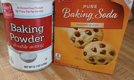 Back to Basics: Understanding the Difference Between Baking Soda and Baking Powder