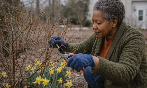 March Gardening in Bedford: Waking Up the Garden