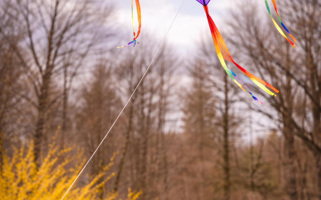 Late March Outdoor Fun: Backyard Kite Flying in Bedford