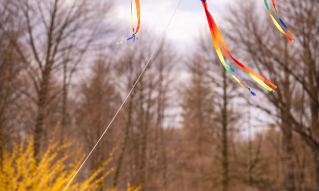 Late March Outdoor Fun: Backyard Kite Flying in Bedford