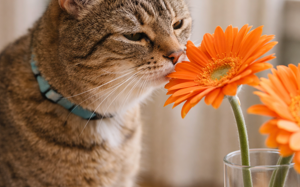 April Pet Care in Bedford: Protecting Pets from Spring Plants and Garden Hazards