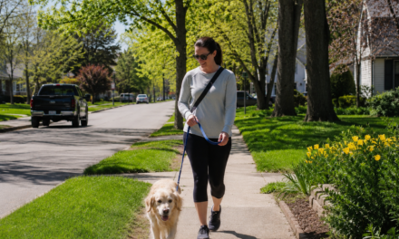 May Pet Care Tips in Bedford: Protecting Pets from Heat and Hot Pavement