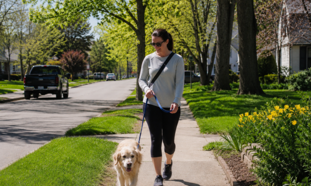 May Pet Care Tips in Bedford: Protecting Pets from Heat and Hot Pavement
