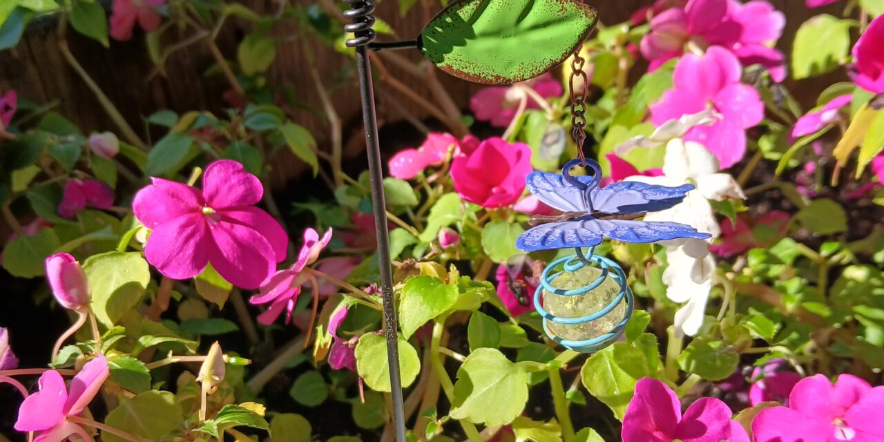 Tiny Touches, Big Charm: Decorating Your Potted Plants in Bedford