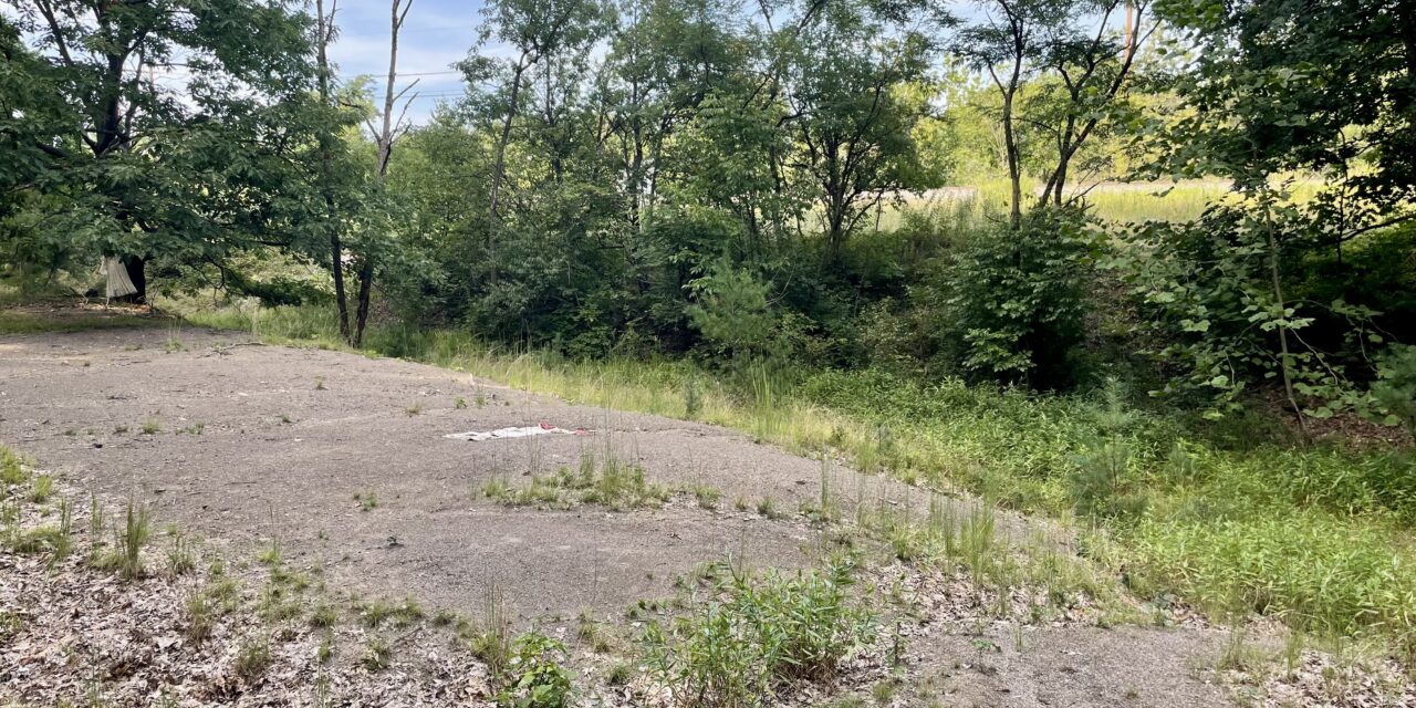 THE BERM